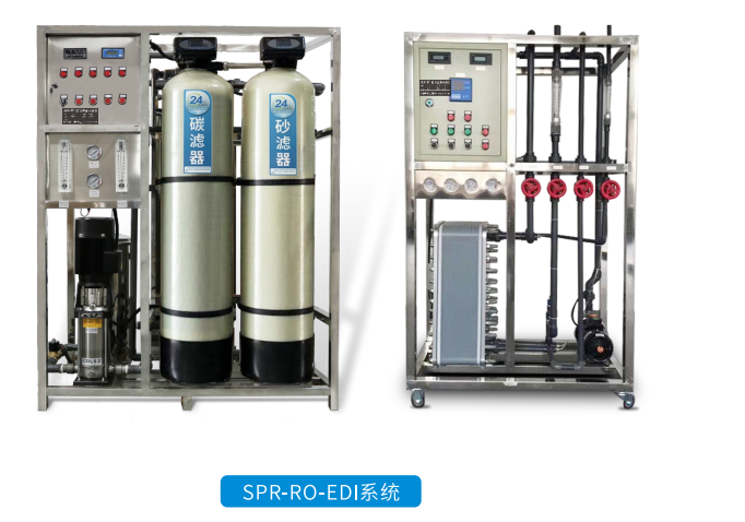 SPR-RO-EDI系统